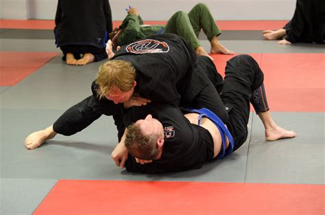 bjj instructor jobs